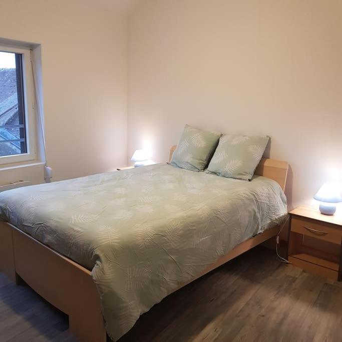 Вилла Chez Nino Wifi Gratuit Beaulieu-sur-Loire Экстерьер фото