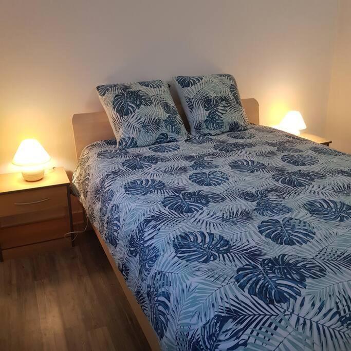 Вилла Chez Nino Wifi Gratuit Beaulieu-sur-Loire Экстерьер фото